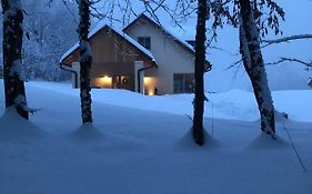 Loft Naturalpina Dolomiti Farm