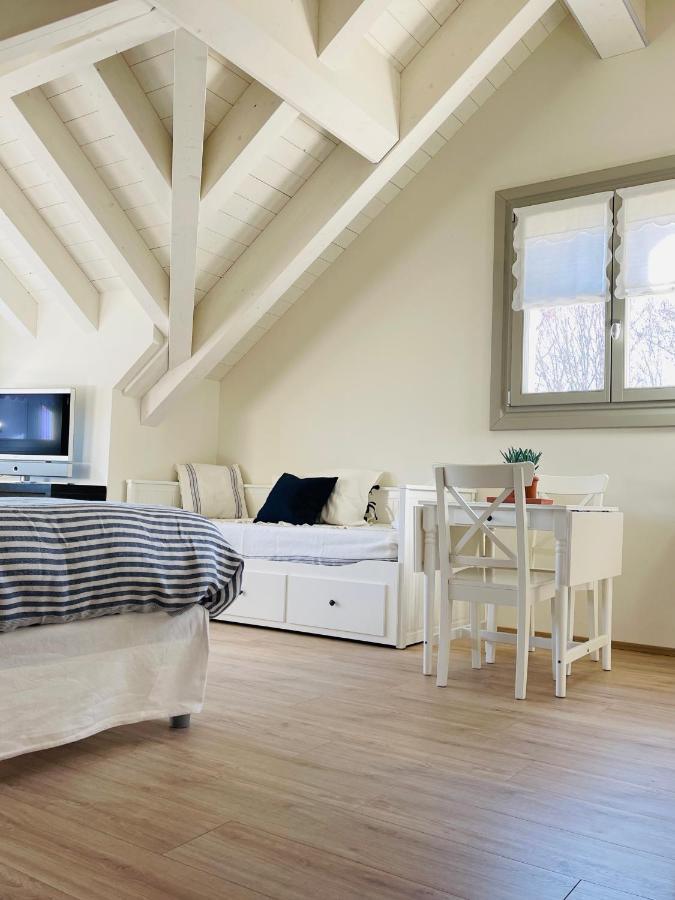 Loft Naturalpina Dolomiti Farm Belluno Exterior photo