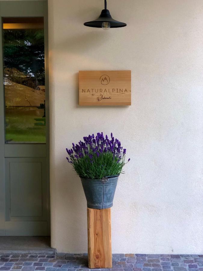 Loft Naturalpina Dolomiti Farm Belluno Exterior photo