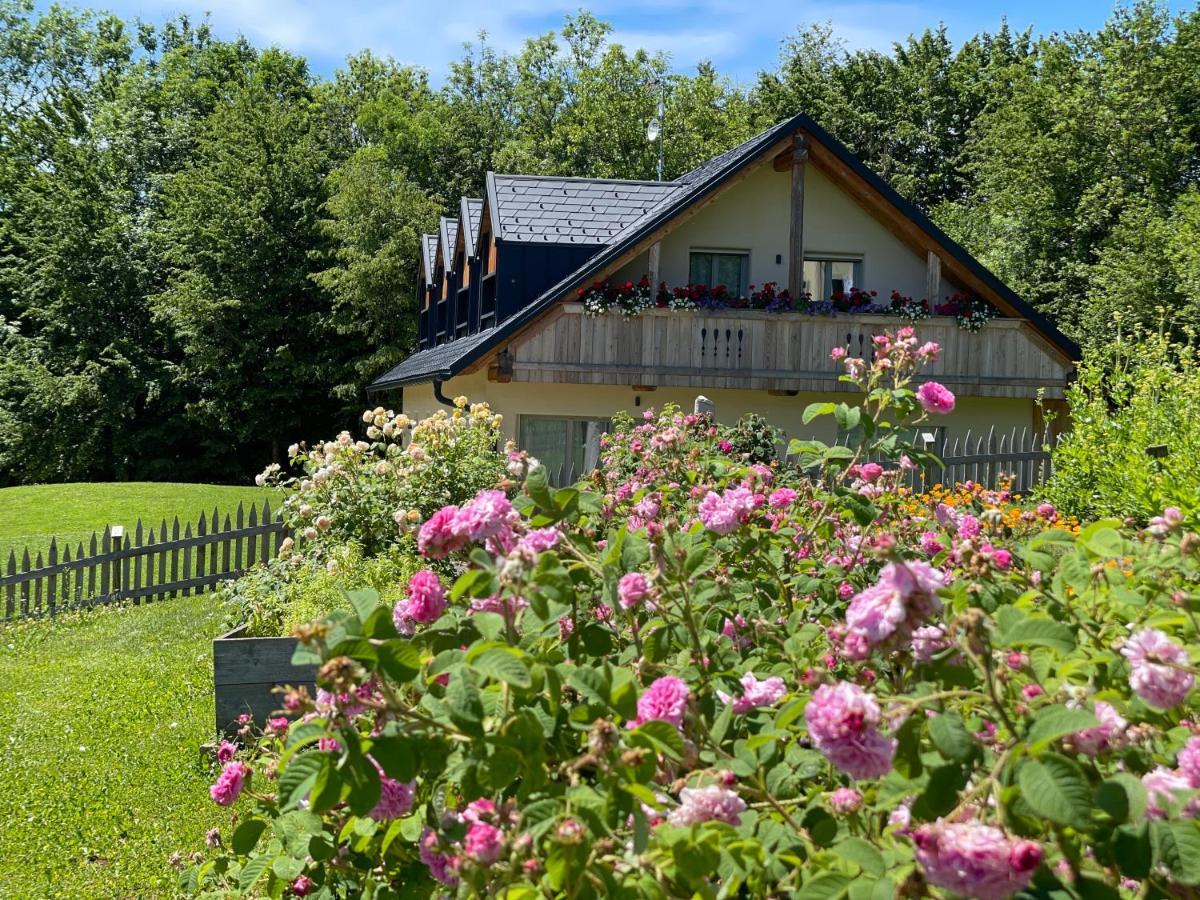 Loft Naturalpina Dolomiti Farm Belluno Exterior photo